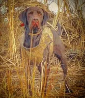 processed/98e2ea81-6ab3-4e6a-a223-c9796409d02a/listing/c3d984c9-2edc-44c8-938a-cc289236db05/58815133-3669-466b-ab2b-fd4198b2fd6d