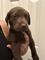 processed/98e2ea81-6ab3-4e6a-a223-c9796409d02a/listing/c3d984c9-2edc-44c8-938a-cc289236db05/9b7441a8-2c90-4a75-b136-ee054b1c1b99