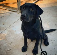 processed/98e2ea81-6ab3-4e6a-a223-c9796409d02a/listing/c3d984c9-2edc-44c8-938a-cc289236db05/b4723b16-7b92-48b4-ad98-c48ef200b78a