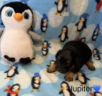 processed/98f05b78-65f0-426d-963f-426538b869c3/listing/022df2d5-ae9f-4f8d-9b65-a4dc151dede6/09f91c5d-a5f3-4cce-9578-46f4ebe6f85b