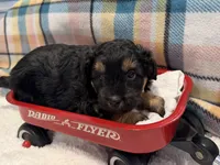 processed/98f05b78-65f0-426d-963f-426538b869c3/listing/022df2d5-ae9f-4f8d-9b65-a4dc151dede6/53a1d430-34db-411d-b73b-7b1811d8ee55