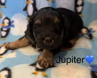 processed/98f05b78-65f0-426d-963f-426538b869c3/listing/022df2d5-ae9f-4f8d-9b65-a4dc151dede6/7966bc01-484d-4b1e-b5ab-40c1178faaf0