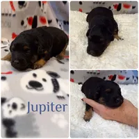 processed/98f05b78-65f0-426d-963f-426538b869c3/listing/022df2d5-ae9f-4f8d-9b65-a4dc151dede6/d07d8193-c9ca-4338-a994-6fb59cdd0567