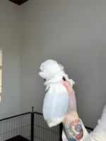 processed/98f14c7e-d0a3-454c-8a03-3ffc80903f8e/listing/3939494d-b345-4eca-b94b-a120044c9559/7c11e301-95f9-4ac8-b655-9fbc9a1ed0ec