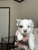 processed/98f14c7e-d0a3-454c-8a03-3ffc80903f8e/listing/3939494d-b345-4eca-b94b-a120044c9559/b4c86a01-e5ed-444b-ad2f-f57d73fa50a5