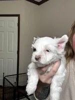 processed/98f14c7e-d0a3-454c-8a03-3ffc80903f8e/listing/3939494d-b345-4eca-b94b-a120044c9559/b8ce859b-0c73-4ac1-bb92-09a9101f14d5