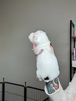 processed/98f14c7e-d0a3-454c-8a03-3ffc80903f8e/listing/426bb03b-57cb-4d6b-a428-d2c19c8c8a3d/f8e48417-7cab-446e-8ad5-ea2ae5721ccd