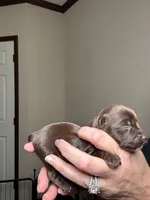 processed/98f14c7e-d0a3-454c-8a03-3ffc80903f8e/listing/f814c9d1-444f-4136-9af1-9f07d49f7998/799dcb30-249f-4fae-b93d-7ea093d38496