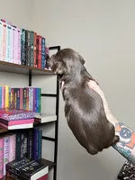 processed/98f14c7e-d0a3-454c-8a03-3ffc80903f8e/listing/f814c9d1-444f-4136-9af1-9f07d49f7998/8e708d61-b6d1-441b-9a88-1726db64e63d