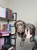 processed/98f14c7e-d0a3-454c-8a03-3ffc80903f8e/listing/f814c9d1-444f-4136-9af1-9f07d49f7998/981a991d-4ae7-4701-805b-fdb775a2a563