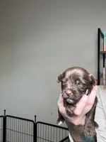 processed/98f14c7e-d0a3-454c-8a03-3ffc80903f8e/listing/f814c9d1-444f-4136-9af1-9f07d49f7998/9c45e775-f519-4459-a58f-cc261988133d