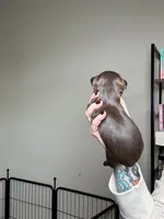 processed/98f14c7e-d0a3-454c-8a03-3ffc80903f8e/listing/f814c9d1-444f-4136-9af1-9f07d49f7998/f1a6151b-67d9-4392-9b49-b5861d552607