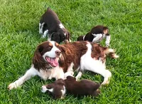 processed/98f37f26-206f-420e-91d7-6e00bfff9e57/facility/1bcb934d-b589-4985-b377-25e3bd047ffc