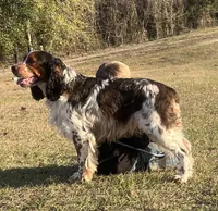 processed/98f37f26-206f-420e-91d7-6e00bfff9e57/facility/4d9c3019-b7a5-4181-a65c-9ed9b5f062e4