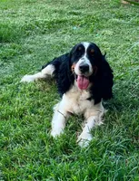 processed/98f37f26-206f-420e-91d7-6e00bfff9e57/facility/717bf9ff-4638-4f10-bb5c-d79949b7cb9b