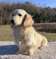 processed/98f37f26-206f-420e-91d7-6e00bfff9e57/facility/8e08555a-9a72-4c53-a84b-b2a1a7d70335