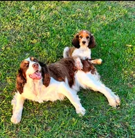 processed/98f37f26-206f-420e-91d7-6e00bfff9e57/facility/c7a3c6c0-44b7-4313-b786-c0b9a08c88eb