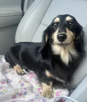 processed/98f37f26-206f-420e-91d7-6e00bfff9e57/facility/cf937c44-ab9f-4666-978c-5f301ef22bd6