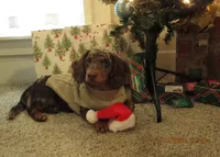 processed/98f37f26-206f-420e-91d7-6e00bfff9e57/facility/ef869f87-c92d-450e-a18a-a6245f45796b