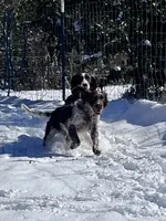 processed/98f37f26-206f-420e-91d7-6e00bfff9e57/facility/f7c148eb-7ce3-430e-ad87-ea218a661868