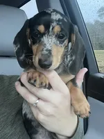 processed/98f37f26-206f-420e-91d7-6e00bfff9e57/facility/fab7807e-4b8f-4dbc-ac57-4f05dd20d2c6