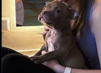 processed/98f923ad-60ba-427a-92d2-bfaeaa009420/listing/41d3b12d-8653-437e-9842-9baf4a38df7d/6186ab71-ac43-4191-9bd8-04625d83ed47