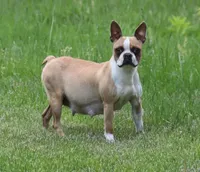 processed/98fa837e-869b-4169-89cd-9f6765651268/facility/3721d2cc-6258-48d0-aed0-22770db7277a