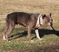 processed/98fa837e-869b-4169-89cd-9f6765651268/facility/80585b8e-2b62-44c3-a590-b790c5a049b1