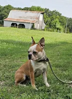 processed/98fa837e-869b-4169-89cd-9f6765651268/facility/bd4e9c0e-af5e-4a19-a21d-3a4762d0acbe