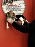 processed/9902d1e2-b0d4-420f-abbc-0ae4df6dc27b/listing/3c8ea648-bf87-46c5-9f8d-1b97c36bd862/0222c6c2-ced0-4201-920f-161e01c727cd