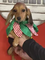 processed/9902d1e2-b0d4-420f-abbc-0ae4df6dc27b/listing/3c8ea648-bf87-46c5-9f8d-1b97c36bd862/95184190-ec65-46cc-990d-931d8d898449