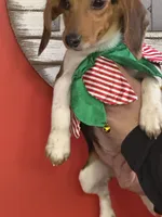 processed/9902d1e2-b0d4-420f-abbc-0ae4df6dc27b/listing/3c8ea648-bf87-46c5-9f8d-1b97c36bd862/f6fe8fea-c423-4e48-ac47-7e461a12e999