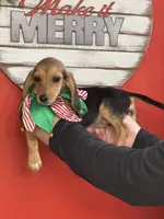 processed/9902d1e2-b0d4-420f-abbc-0ae4df6dc27b/listing/3c8ea648-bf87-46c5-9f8d-1b97c36bd862/fac0f916-a17c-4e1b-91a3-fc427cd5da56