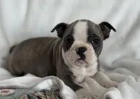 processed/990eb445-6cff-401c-8817-125c317235b3/listing/735ba257-33a8-438d-8593-43af219f2689/2b3fe0b8-4b50-4b34-9908-ab20e817d6ba