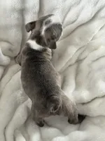 processed/990eb445-6cff-401c-8817-125c317235b3/listing/735ba257-33a8-438d-8593-43af219f2689/42064f0b-4b79-4cf5-bed9-18084d28f272