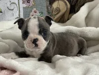 processed/990eb445-6cff-401c-8817-125c317235b3/listing/735ba257-33a8-438d-8593-43af219f2689/4be9a1a4-b0ba-42a8-ace9-876f131cc90b