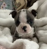 processed/990eb445-6cff-401c-8817-125c317235b3/listing/735ba257-33a8-438d-8593-43af219f2689/e10b685f-cbd1-4ccd-ada9-c8e6354d72a9