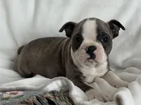 processed/990eb445-6cff-401c-8817-125c317235b3/listing/735ba257-33a8-438d-8593-43af219f2689/fd25815b-e226-4267-8df9-cbe8f325ffd1