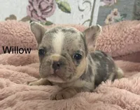 processed/990eb445-6cff-401c-8817-125c317235b3/listing/86d01d26-093c-4f2e-b9f3-0eb18c647e77/013130fa-fd52-477a-9010-08c966095560