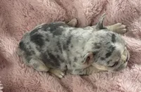 processed/990eb445-6cff-401c-8817-125c317235b3/listing/86d01d26-093c-4f2e-b9f3-0eb18c647e77/2b7ba3d5-7a4a-4a2a-8b3c-6915b0e8d1a6