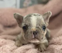 processed/990eb445-6cff-401c-8817-125c317235b3/listing/86d01d26-093c-4f2e-b9f3-0eb18c647e77/51a4a2c8-ab39-49ec-bece-8f9c40c5fc9a