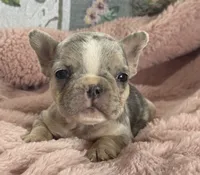 processed/990eb445-6cff-401c-8817-125c317235b3/listing/86d01d26-093c-4f2e-b9f3-0eb18c647e77/547e4bbc-94d7-413d-8700-e997d5386c16