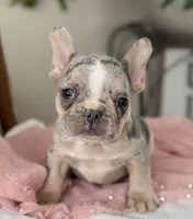 processed/990eb445-6cff-401c-8817-125c317235b3/listing/86d01d26-093c-4f2e-b9f3-0eb18c647e77/6c9dabc2-9241-4cce-b843-76e180eb6ac3