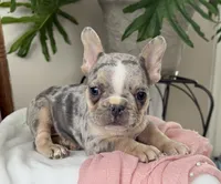 processed/990eb445-6cff-401c-8817-125c317235b3/listing/86d01d26-093c-4f2e-b9f3-0eb18c647e77/6faa13d7-0c74-4f2b-bbcb-7e7775d140e6