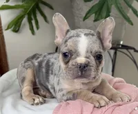 processed/990eb445-6cff-401c-8817-125c317235b3/listing/86d01d26-093c-4f2e-b9f3-0eb18c647e77/ee581761-8df3-4489-b3ba-5a5323a7ef6c