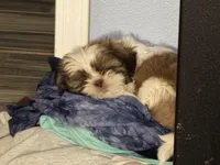 processed/99276d4b-0ce3-4330-9b3a-9386b06ff663/facility/852e43b8-9019-4bfa-bc43-655fb2468d69