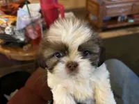 processed/99276d4b-0ce3-4330-9b3a-9386b06ff663/facility/f3085556-0f99-42c5-abbd-0c8ba2e7688f