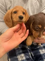 processed/992cd1d9-be20-41bb-b407-13a03e62c69f/listing/beef6285-b304-4d8b-af58-f6b63c728481/0b73fdc6-915f-4644-913f-14287822b7af