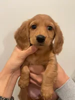 processed/992cd1d9-be20-41bb-b407-13a03e62c69f/listing/beef6285-b304-4d8b-af58-f6b63c728481/d6e91940-5270-494a-97c4-2724ad49e97a