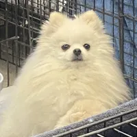 processed/99333ea5-5343-4dce-84af-d02b745c9bef/facility/09867d23-014a-4911-8368-8e7e5ce86440